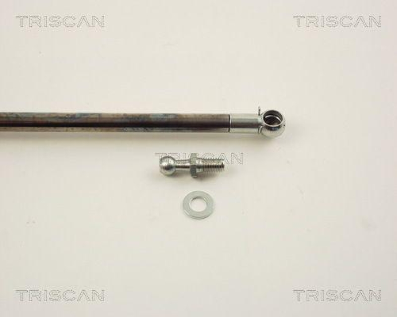 TRISCAN 8710 14220 Gasfeder Hinten für Nissan Sunny N14