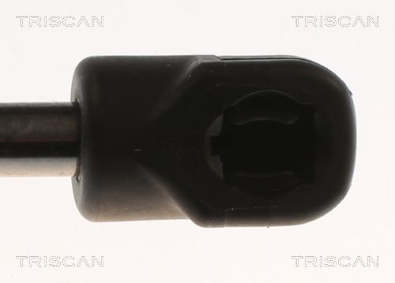 TRISCAN 8710 82001 Gasfeder Hinten für Mg