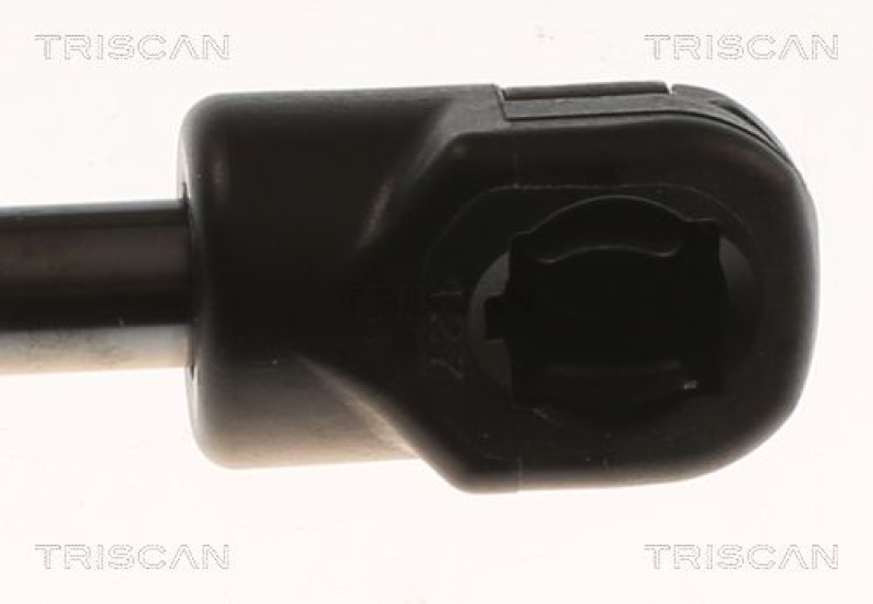 TRISCAN 8710 82002 Gasfeder Hinten für Mg