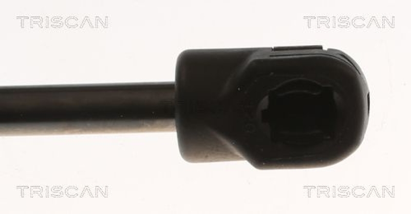 TRISCAN 8710 82003 Gasfeder Hinten für Mg