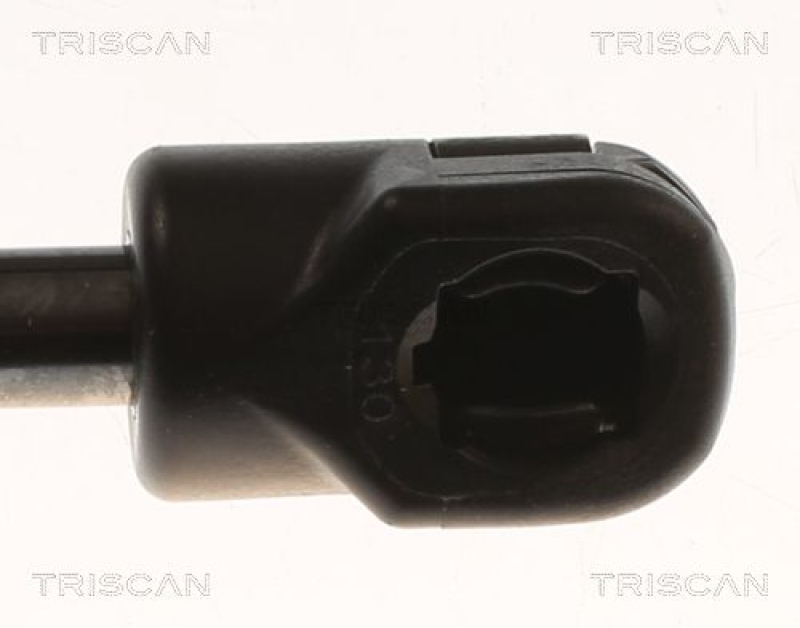 TRISCAN 8710 82004 Gasfeder Hinten für Mg