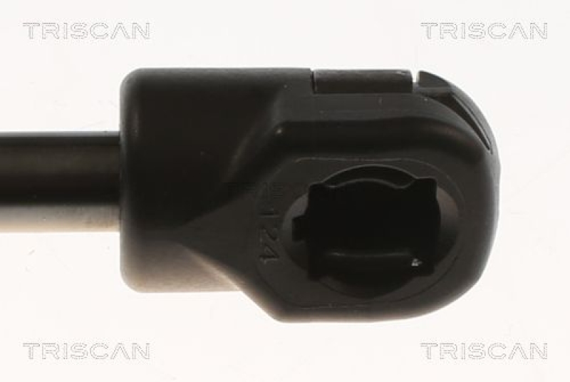 TRISCAN 8710 82005 Gasfeder Hinten für Mg