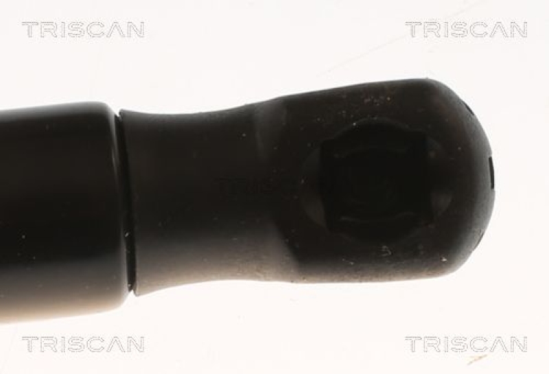 TRISCAN 8710 82009 Gasfeder Hinten für Mg