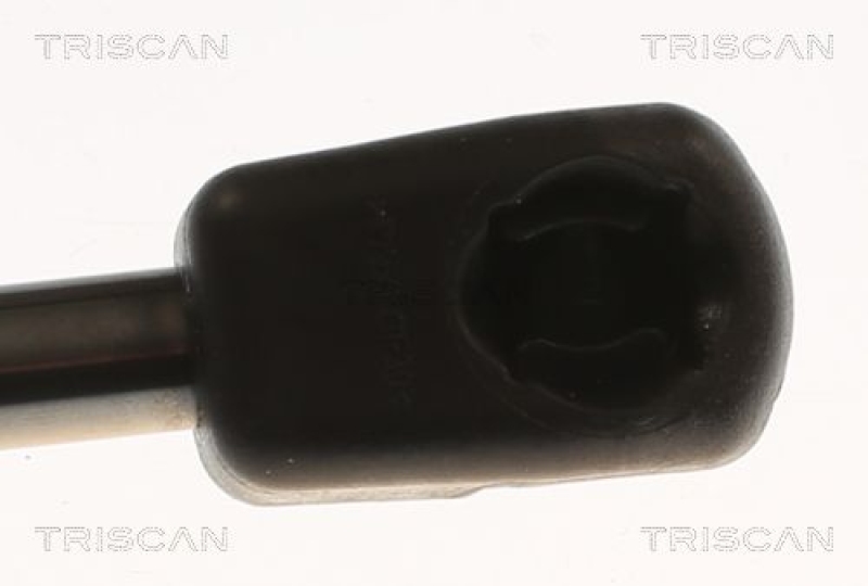 TRISCAN 8710 82010 Gasfeder Hinten für Mg