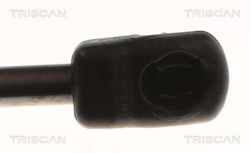 TRISCAN 8710 82011 Gasfeder Vorne für Mg