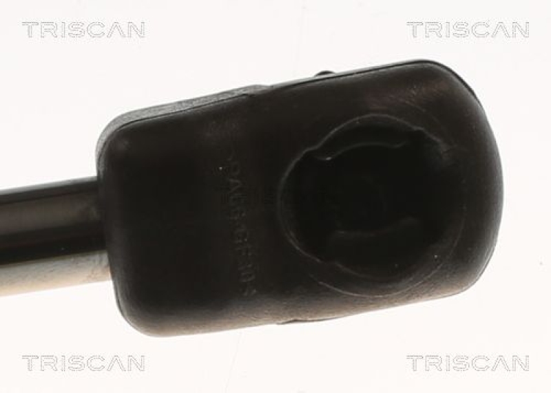 TRISCAN 8710 82012 Gasfeder Vorne für Mg