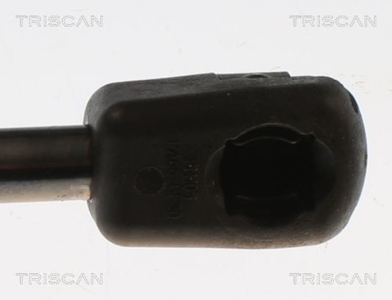 TRISCAN 8710 82013 Gasfeder Vorne für Mg