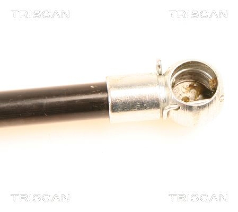 TRISCAN 8710 29250 Gasfeder Hinten für Vw Bora, Golf, Passat