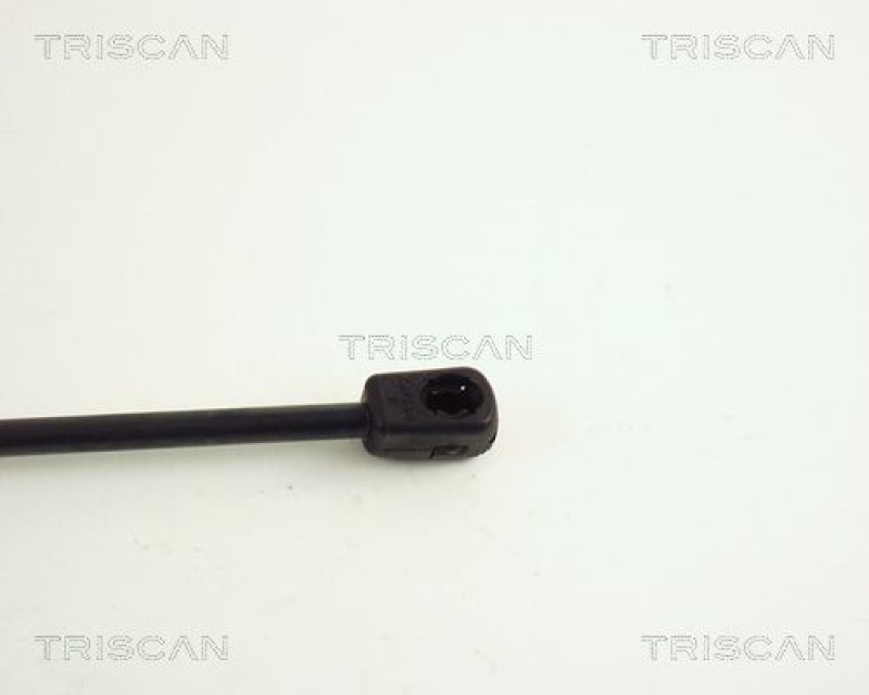 TRISCAN 8710 15226 Gasfeder Hinten für Panda