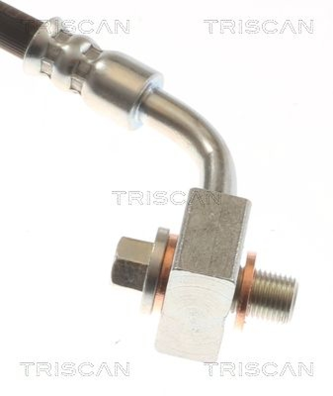 TRISCAN 8150 81206 Bremsschlauch Hinten für Tesla