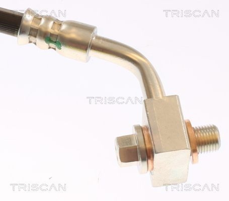 TRISCAN 8150 81207 Bremsschlauch Hinten für Tesla