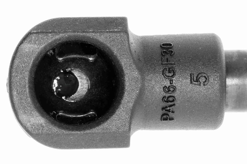 VAICO V24-0045 Gasfeder, Koffer-/Laderaum für FIAT