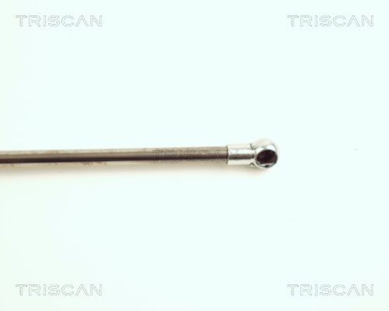 TRISCAN 8710 16217 Gasfeder Hinten für Ford Mondeo Hatchback I/Ii