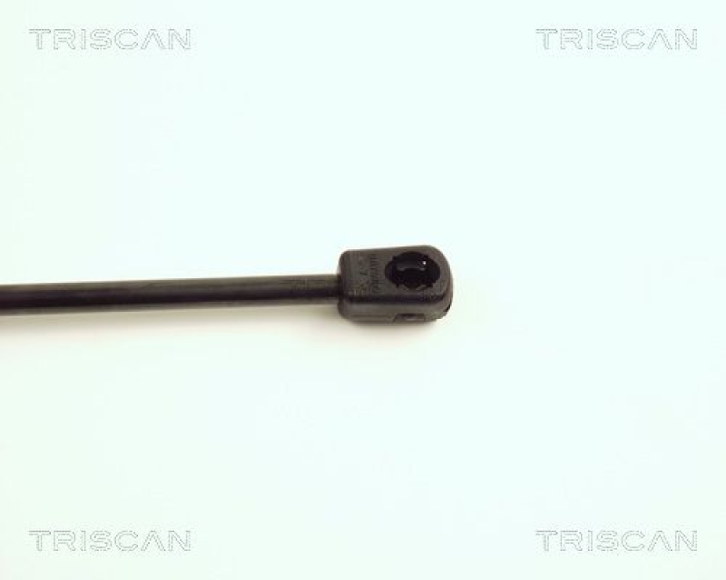 TRISCAN 8710 16233 Gasfeder Hinten für Ford Fiesta V