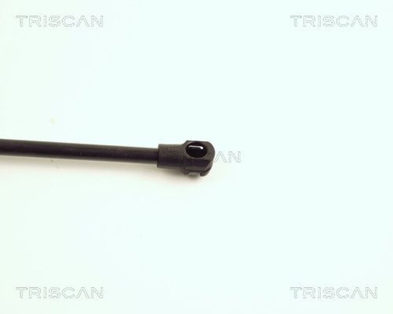 TRISCAN 8710 16234 Gasfeder Hinten für Ford Focus Sedan