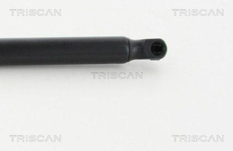 TRISCAN 8710 16266 Gasfeder Hinten für Ford Kuga