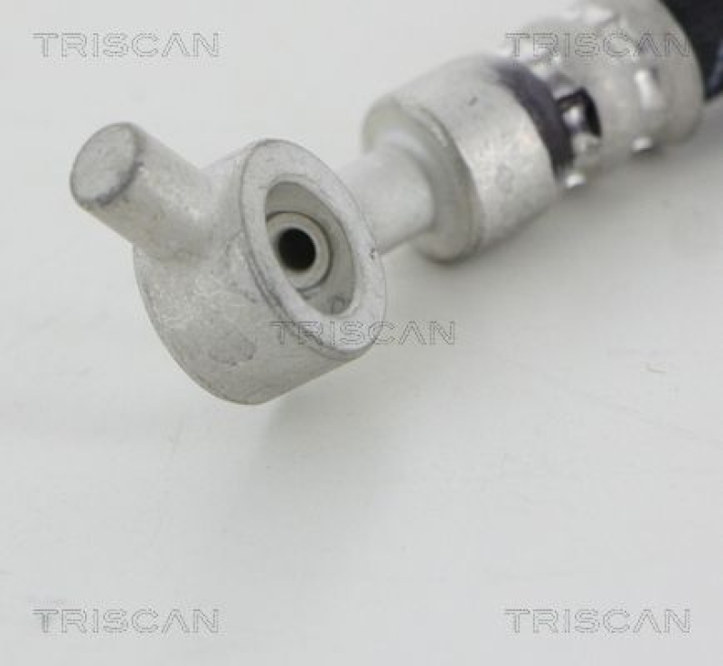 TRISCAN 8150 14321 Bremsschlauch Vorne für Nissan