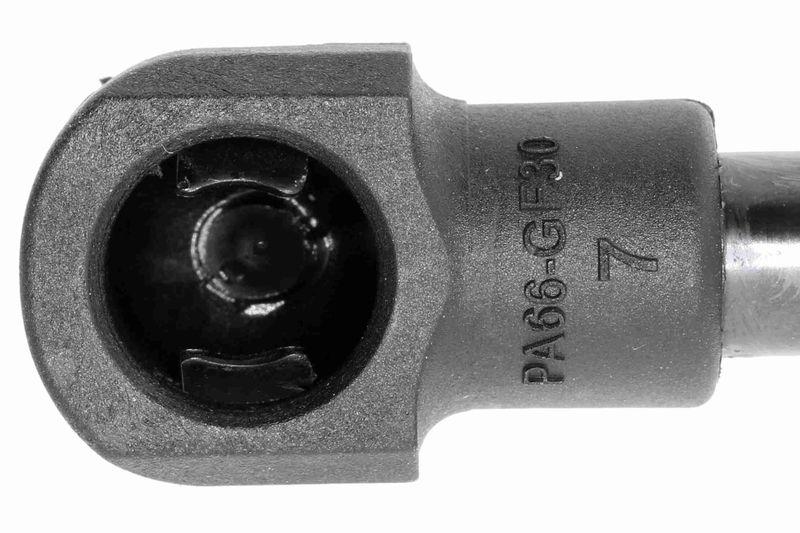 VAICO V10-4698 Gasfeder, Heckscheibe für VW