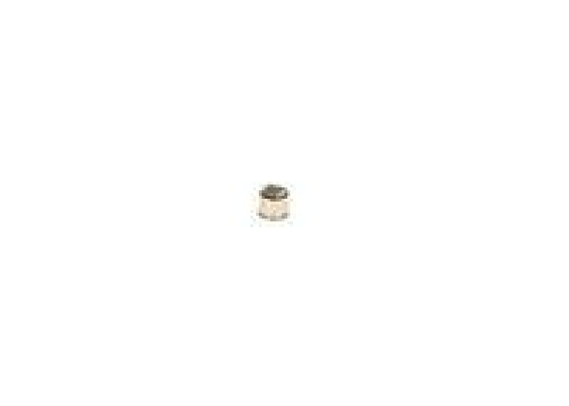 Bosch 2 424 542 001 Magnet