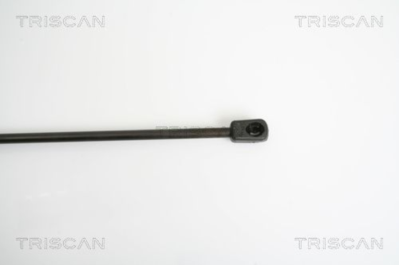 TRISCAN 8710 23213 Gasfeder Hinten für Mercedes B-Klasse W245