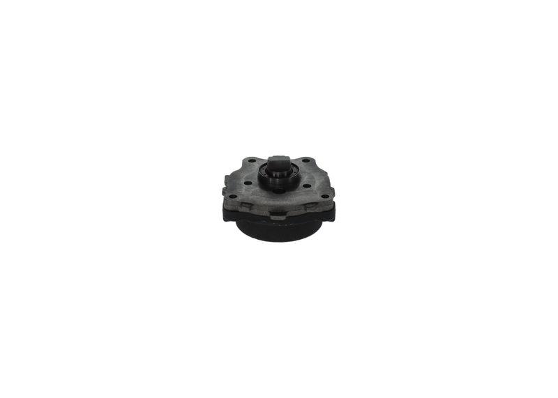 Bosch 0 440 050 007 Zahnradpumpe