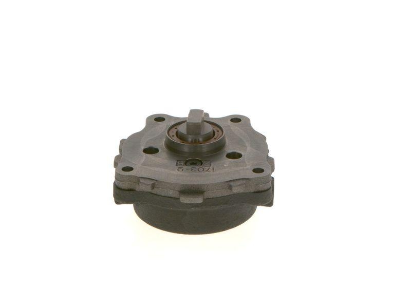 Bosch 0 440 050 010 Zahnradpumpe