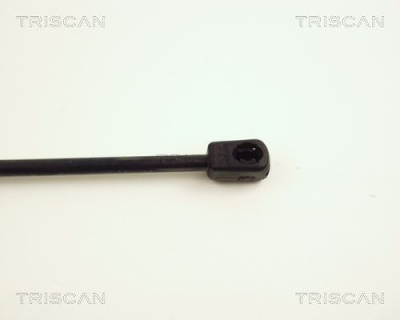 TRISCAN 8710 24223 Gasfeder Hinten für Opel Corsa C