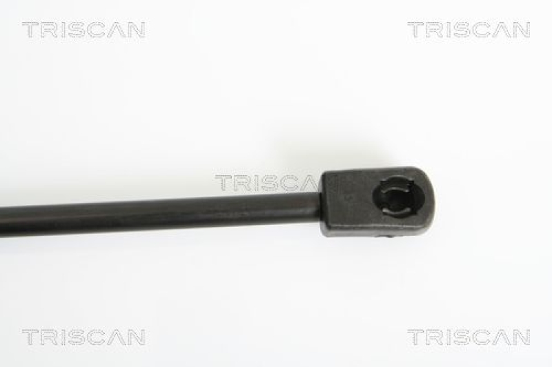 TRISCAN 8710 24231 Gasfeder Hinten für Opel Corsa D