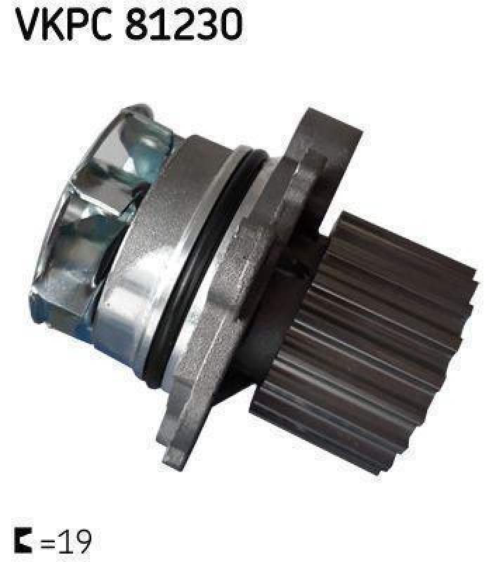 SKF VKPC 81230 Wasserpumpe