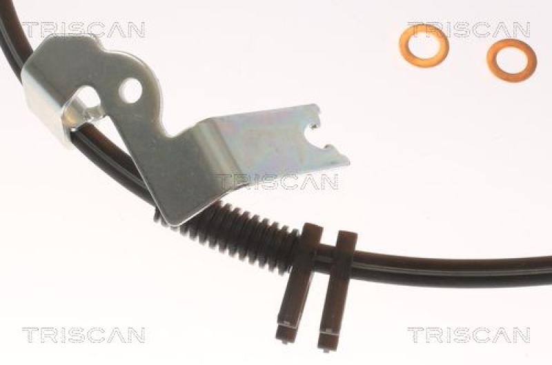 TRISCAN 8150 162012 Bremsschlauch Vorne für Ford