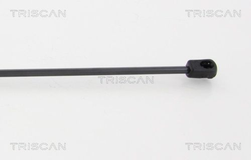 TRISCAN 8710 24241 Gasfeder Hinten für Opel