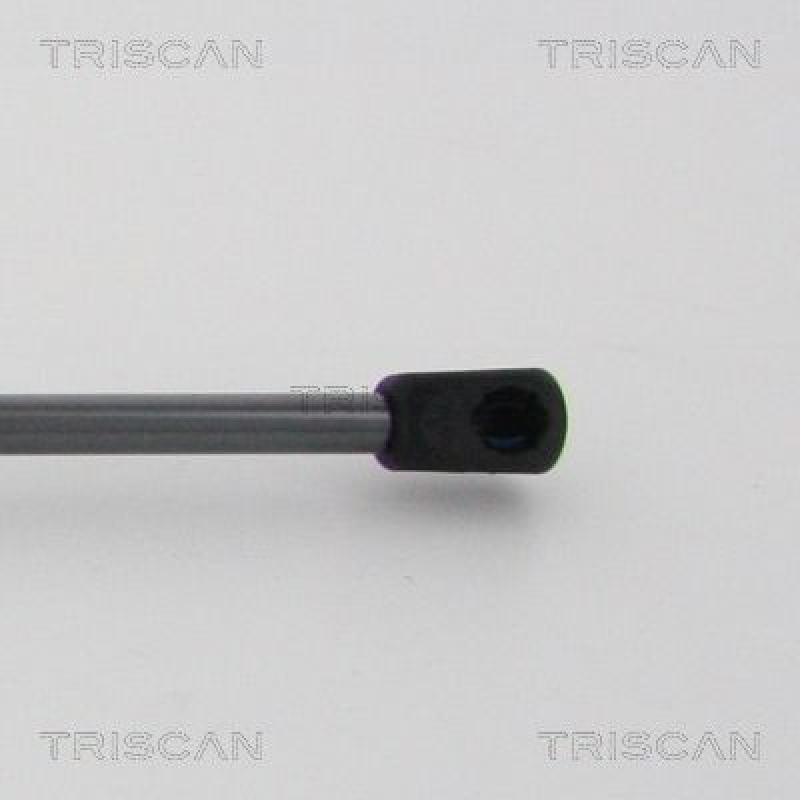 TRISCAN 8710 24258 Gasfeder Hinten für Opel