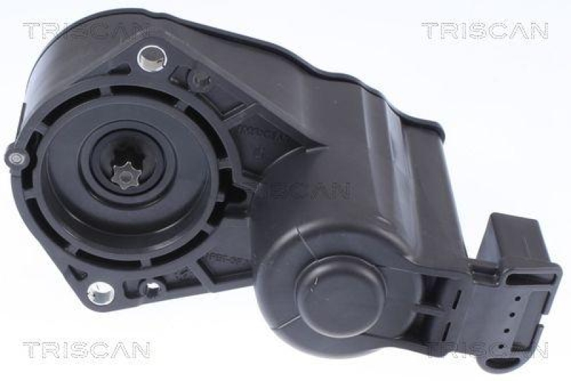 TRISCAN 8170 208018 Brake Caliper Motor für Citroen, Peugeot