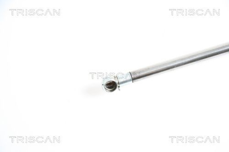 TRISCAN 8710 25227 Gasfeder Hinten für Nissan, Opel, Renault