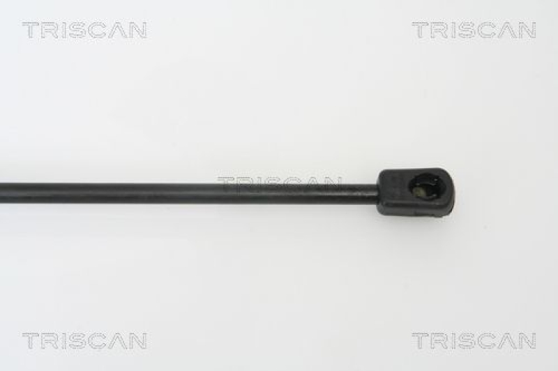 TRISCAN 8710 25232 Gasfeder Hinten für Renault Megane Kombi Ii