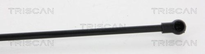 TRISCAN 8710 25239 Gasfeder Hinten für Renault Kangoo