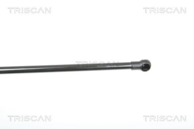 TRISCAN 8710 25240 Gasfeder Hinten für Renault Modus