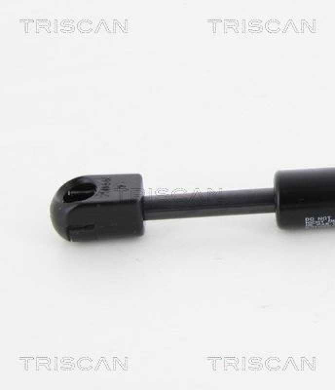 TRISCAN 8710 25262 Gasfeder Hinten für Renault