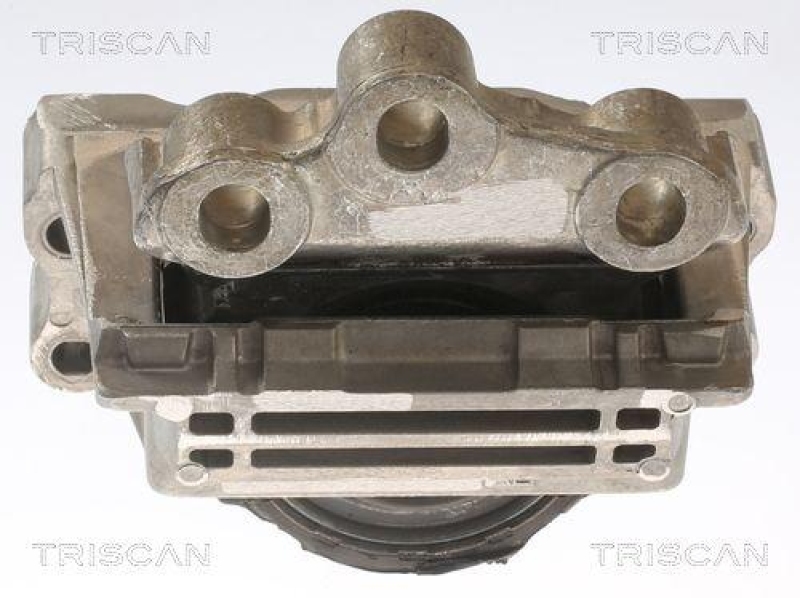 TRISCAN 8505 16121 Motoraufhängung für Ford Transit