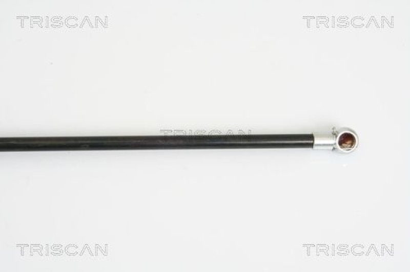 TRISCAN 8710 28233 Gasfeder Hinten für Peugeot 206 Cc