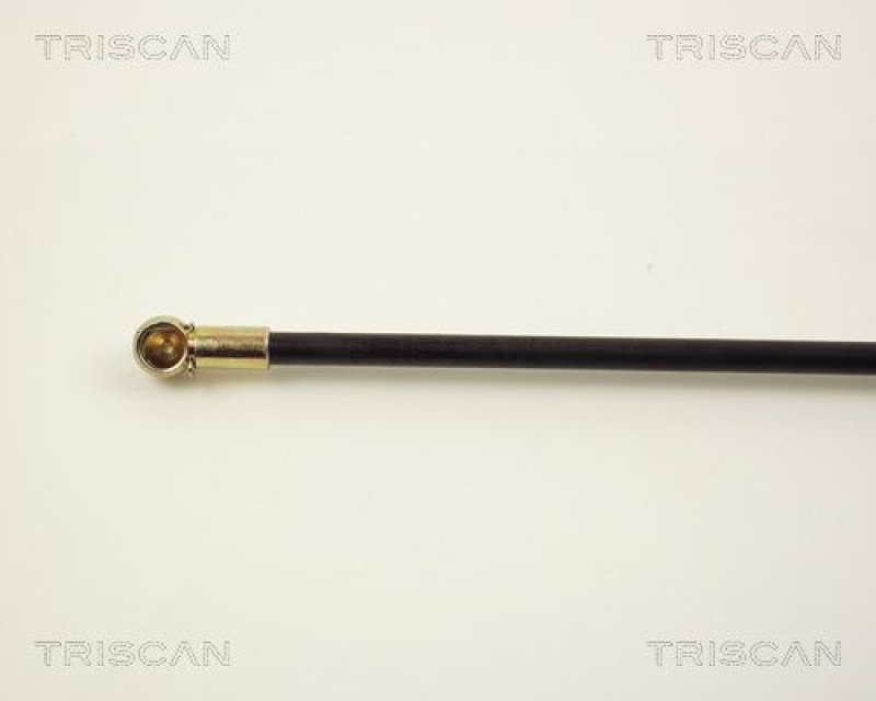 TRISCAN 8710 2910 Gasfeder Hinten für Vw Transporter