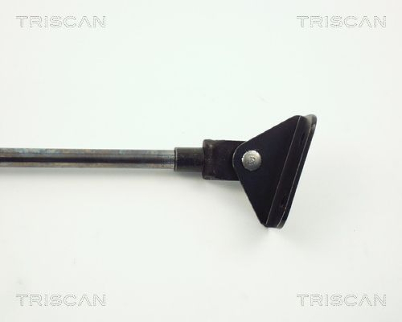 TRISCAN 8710 10202 Gasfeder Hinten für Opel Agila, Suzuki Wagon R