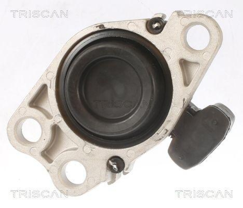 TRISCAN 8505 25100 Motoraufhängung für Renault