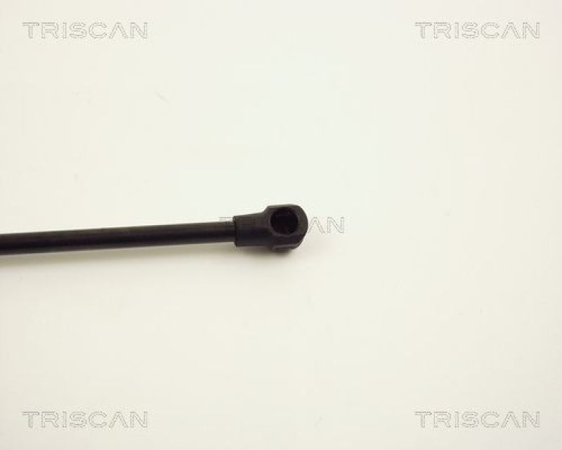 TRISCAN 8710 11109 Gasfeder Vorne für Bmw X 5