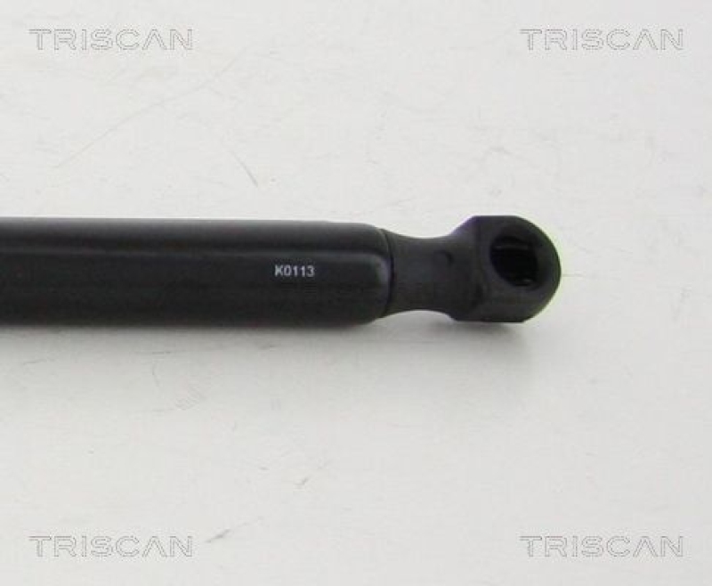 TRISCAN 8710 292004 Gasfeder Hinten für Vw Beetle