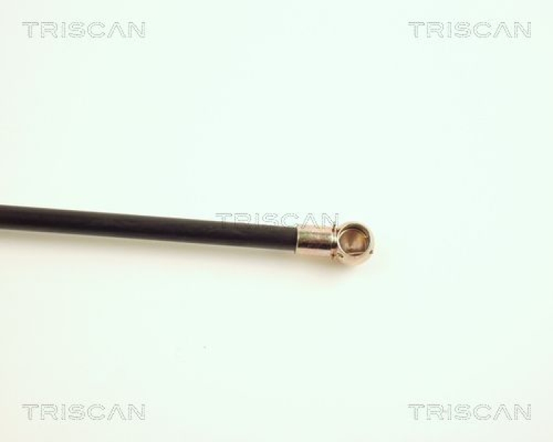 TRISCAN 8710 29201 Gasfeder Hinten für Audi A6, 100 / Quattro