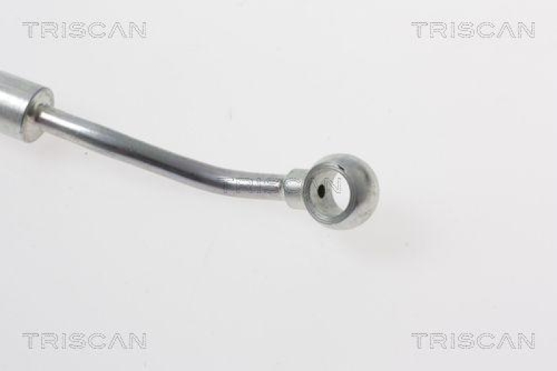 TRISCAN 8150 18173 Bremsschlauch Vorne für Kia