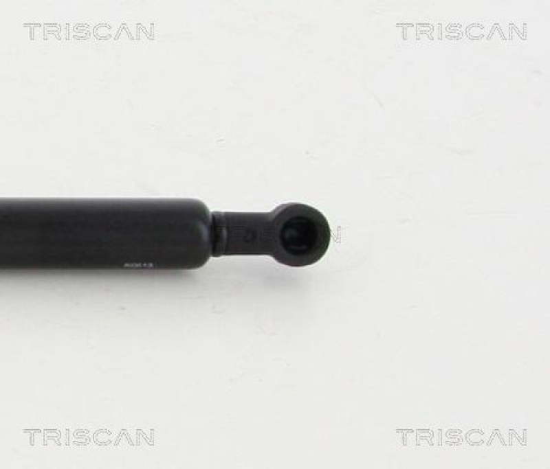 TRISCAN 8710 11131 Gasfeder Vorne für Bmw Z4