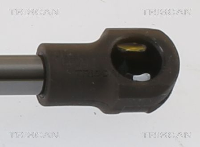 TRISCAN 8710 112017 Gasfeder Hinten für I3 13-