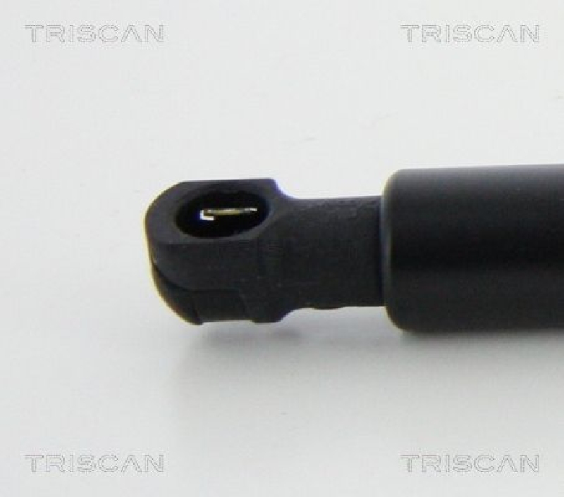 TRISCAN 8710 11240 Gasfeder Hinten für Bmw 2 Coupe